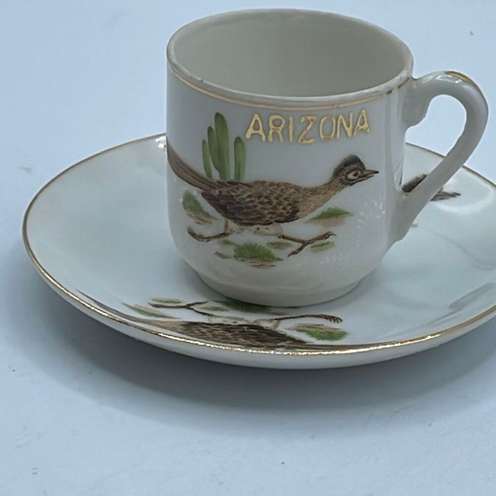 Vintage Arizona Souvenir Cup & saucer roadrunner Midcentury